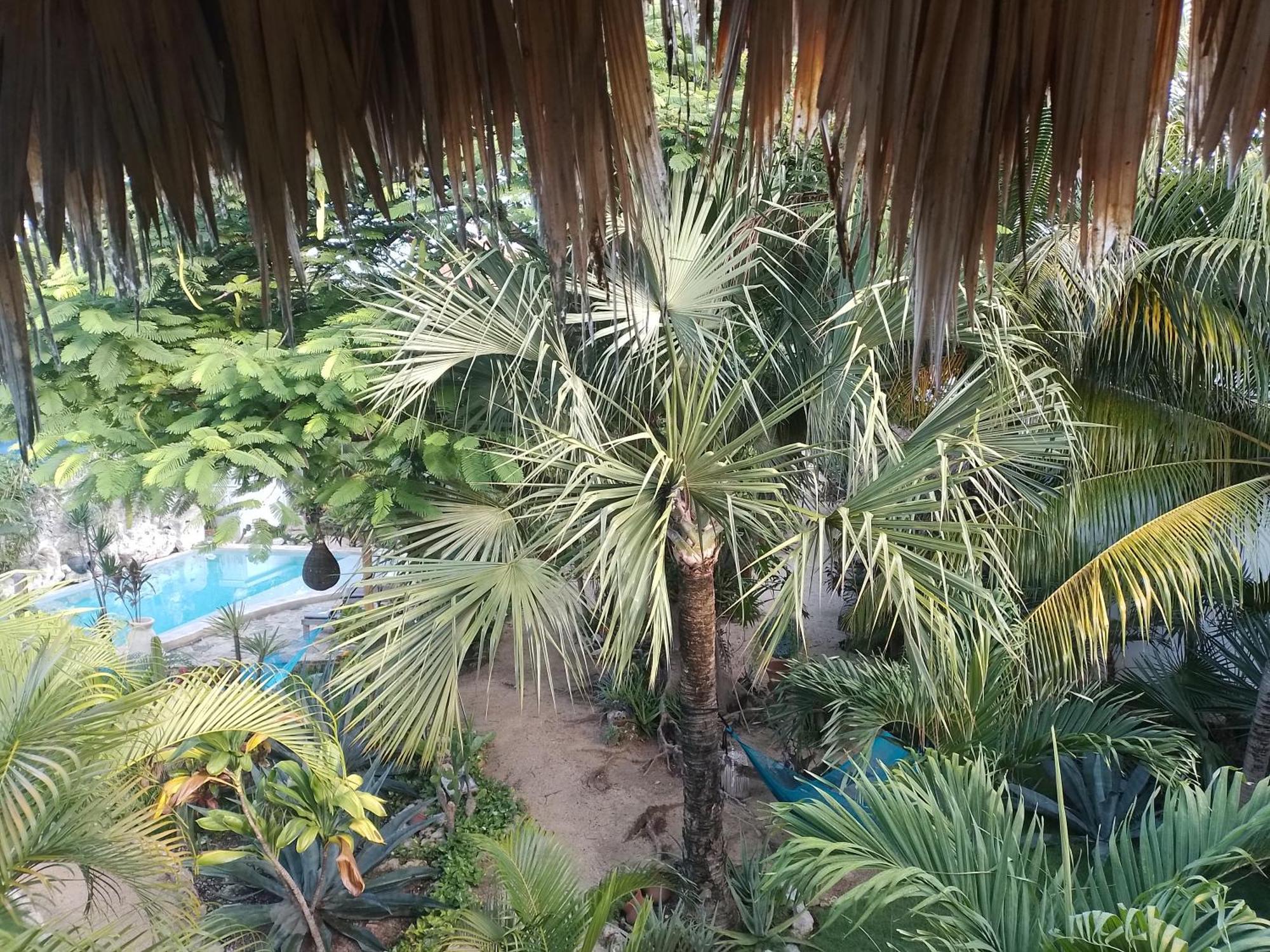 Zamunda Garden View Otel Tulum Dış mekan fotoğraf