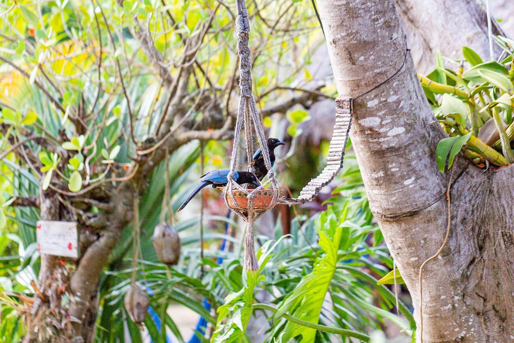 Zamunda Garden View Otel Tulum Dış mekan fotoğraf