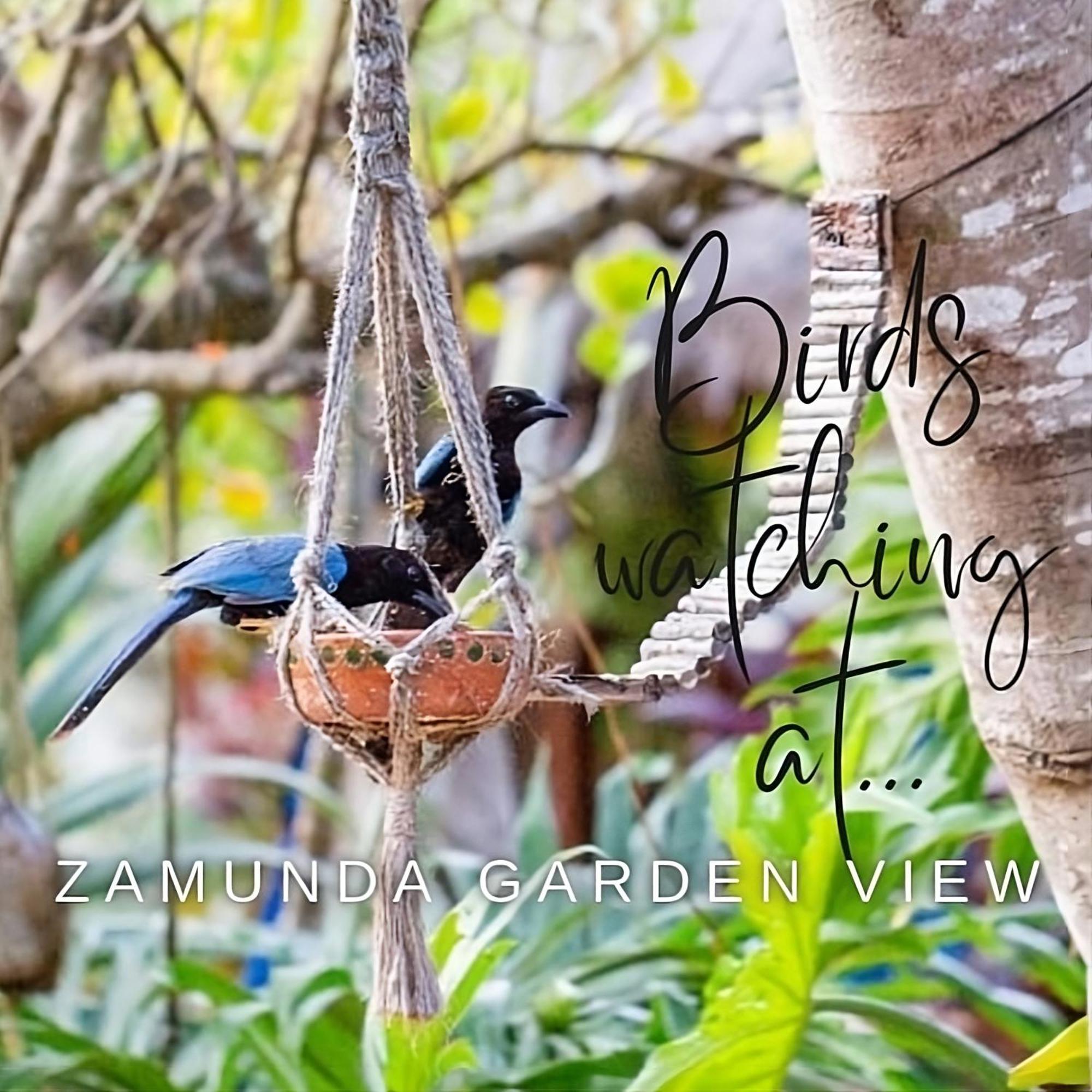 Zamunda Garden View Otel Tulum Dış mekan fotoğraf